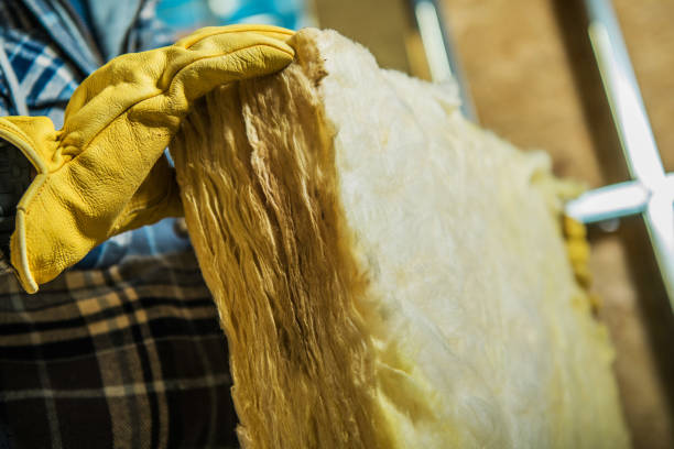 Best Insulation Installation Services in Robersonville, NC
