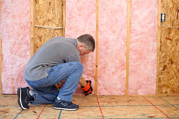 Best Types of Insulation in Robersonville, NC